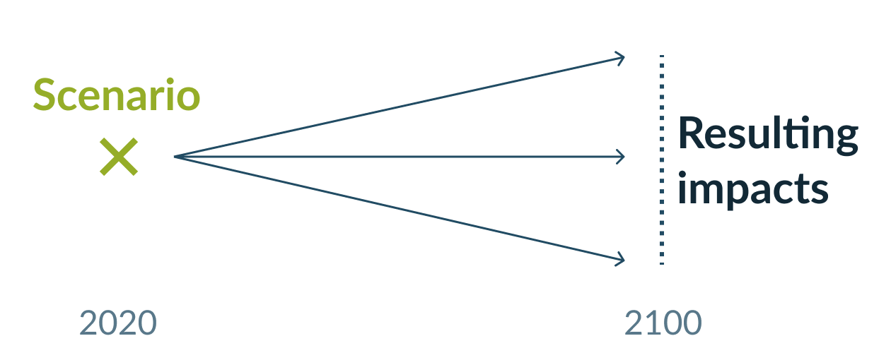 One scenario and many resulting impacts